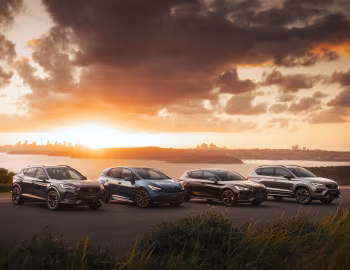 Cupra Born, Cupra Ateca, Cupra León, Cupra Formentor