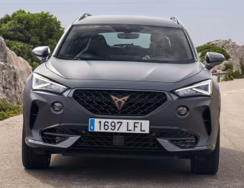 Cupra Formentor 2.0 TSI [Worldwide] '2020–24