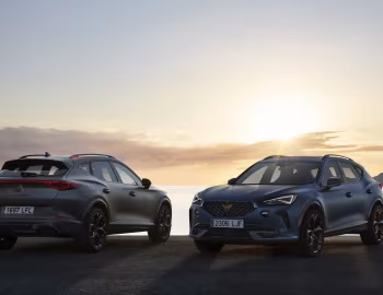 Cupra Formentor 2.0 TSI [Worldwide] '2020–24
