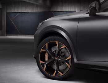 Cupra Formentor 2.0 TSI [Worldwide] '2020–24