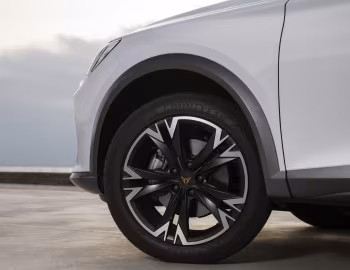 Cupra Formentor 1.5 TSI [Worldwide] '2021–24