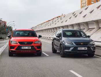 Cupra Ateca [Worldwide] '2018–20