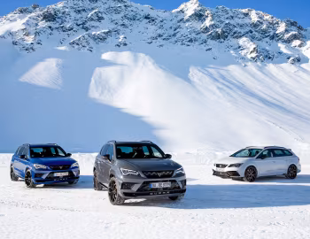 Cupra Ateca, SEAT León
