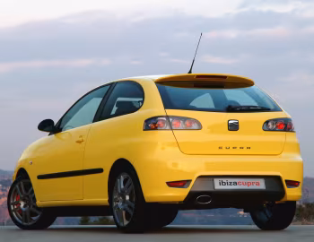 SEAT Ibiza Cupra [Worldwide] (6L) '2004–06