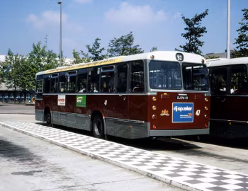 DAF SB 200 DKDL-554 Hainje CSA-I [Netherlands] '1972