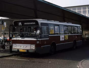 DAF SB 201 DKDL-554 Hainje CSA-I [Netherlands] '1981–82