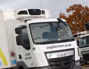 DAF LF 180 FA 4×2 Day Cab Carrier Transicold Pulsor 600 MT Refrigerated Truck [UK-spec] '2017