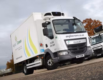 DAF LF 180 FA 4×2 Day Cab Carrier Transicold Pulsor 600 MT Refrigerated Truck [UK-spec] '2017
