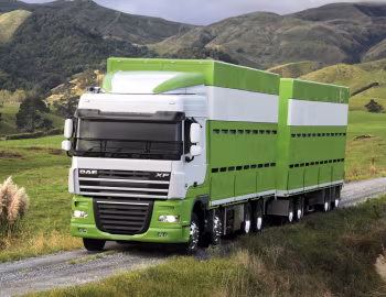 DAF XF105 8×4 FAD Space Cab [Australia] '2006–12