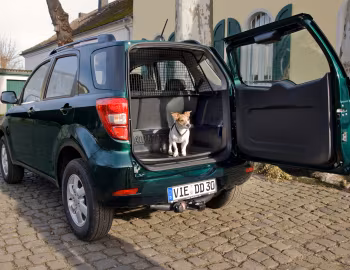 Daihatsu Terios "Pirsch" [Germany] (J200) '2008