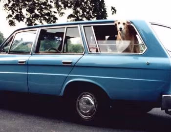 Datsun 2000 Station Wagon '1968–73