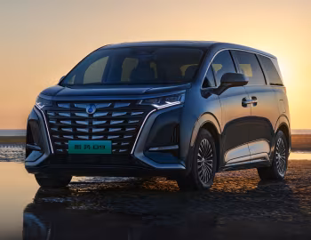 Denza D9 DM [China] '10.2022–25