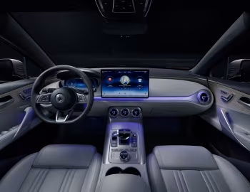 Panel frontal Denza X '2019–21