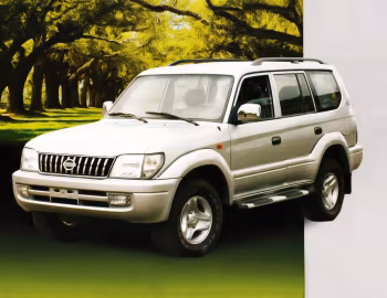 Derways Land Crown (313130) '2006