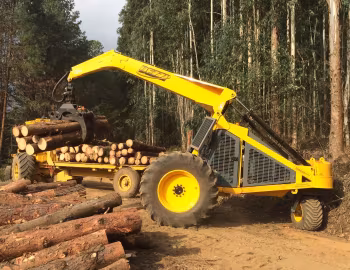 Dezzi Three-Wheel Logger '2015–pr.