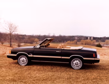Dodge Aries Convertible by Con-Tec '1981–82