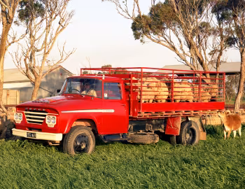 Dodge AT4 375 '1962–72