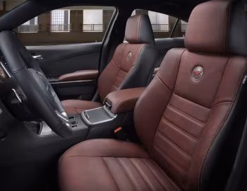 Interior 2014 Dodge Charger R/T "100th Anniversary" (LD) '2014
