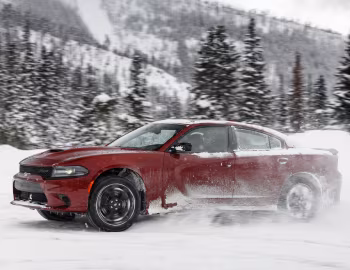 2020–н.в. Dodge Charger GT AWD Blacktop (LD) '2019–н.в.
