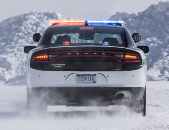 2015–pr. Dodge Charger Pursuit AWD (LD) '2014–pr.