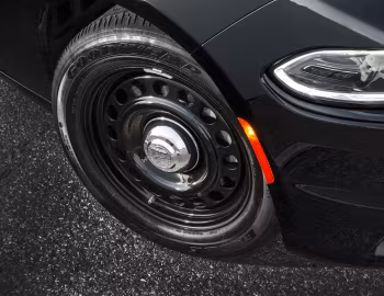 2015–н.в. Dodge Charger Pursuit AWD (LD) '2014–н.в.