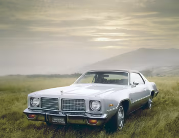1975 Dodge Coronet Brougham Hardtop Coupe (WP 23)
