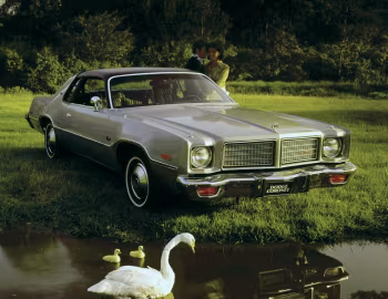 1975 Dodge Coronet Brougham Hardtop Coupe (WP 23)
