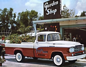 1959 Dodge D100 Sweptline Pickup (M6)