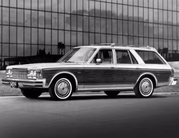 1979 Dodge Diplomat Salon Station Wagon (GH-45)