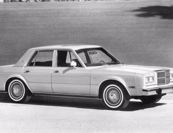 1986 Dodge Diplomat SE (MGP-41)
