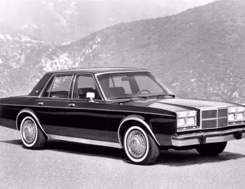 1985 Dodge Diplomat SE (MGP-41)