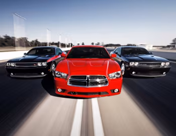 Dodge