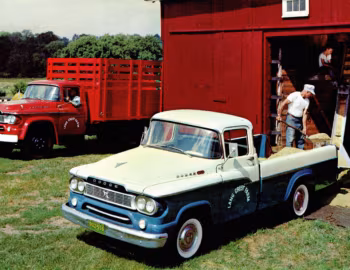 Dodge D500 Stake Truck, Dodge D100 Sweptline Pickup