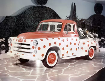 1954 Dodge C-1-B Pickup