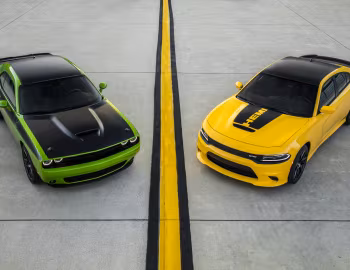 Dodge