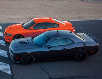 Dodge