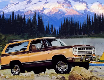 1979 Dodge Ramcharger (AW100) '1978–79