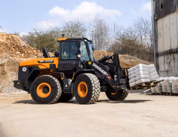 Doosan DL250-7 '05.2021–23