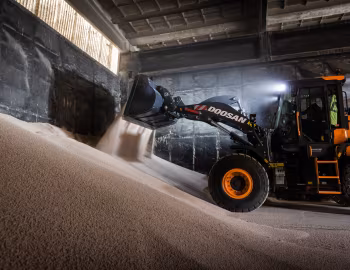 Doosan DL220-7 '05.2021–23