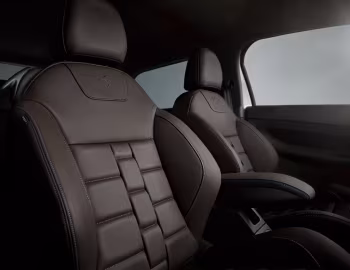 Interior DS 3 [Worldwide] '2016–19