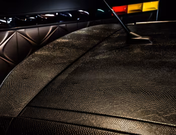 DS 3 "Black Lézard" '2017–18