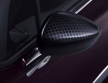 DS 3 "Forever" '2018–19