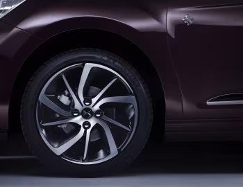 DS 3 "Forever" '2018–19