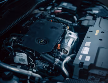 Sous la capuche DS 4 Rivoli [Japan] '2022–24