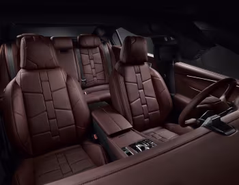 Интерьер DS 9 E-Tense Opéra [Worldwide] '2020–24