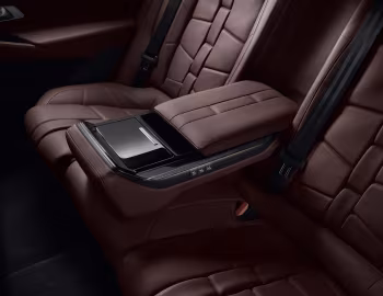 Интерьер DS 9 E-Tense Opéra [Worldwide] '2020–24