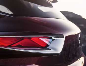 DS Wild Rubis Concept '04.2013