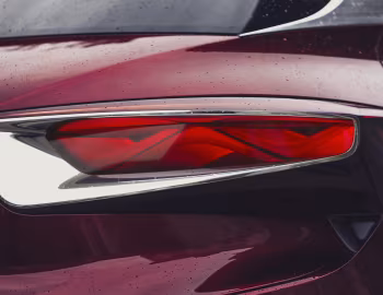 DS Wild Rubis Concept '04.2013