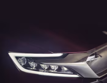DS Wild Rubis Concept '04.2013