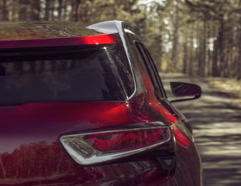 DS Wild Rubis Concept '04.2013